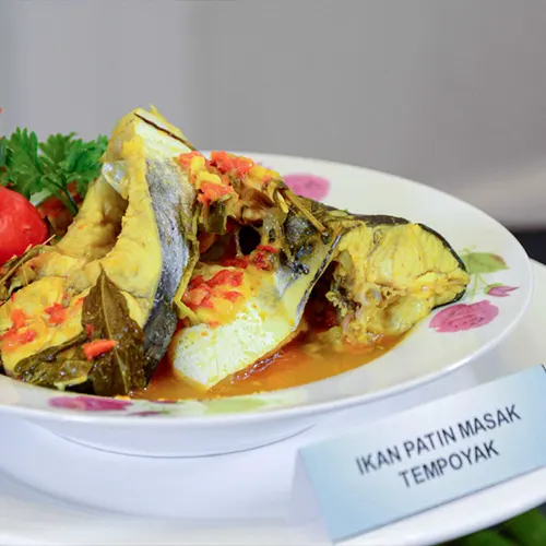 Resepi Ikan Patin Tempoyak Temerloh Simple dan Sedap